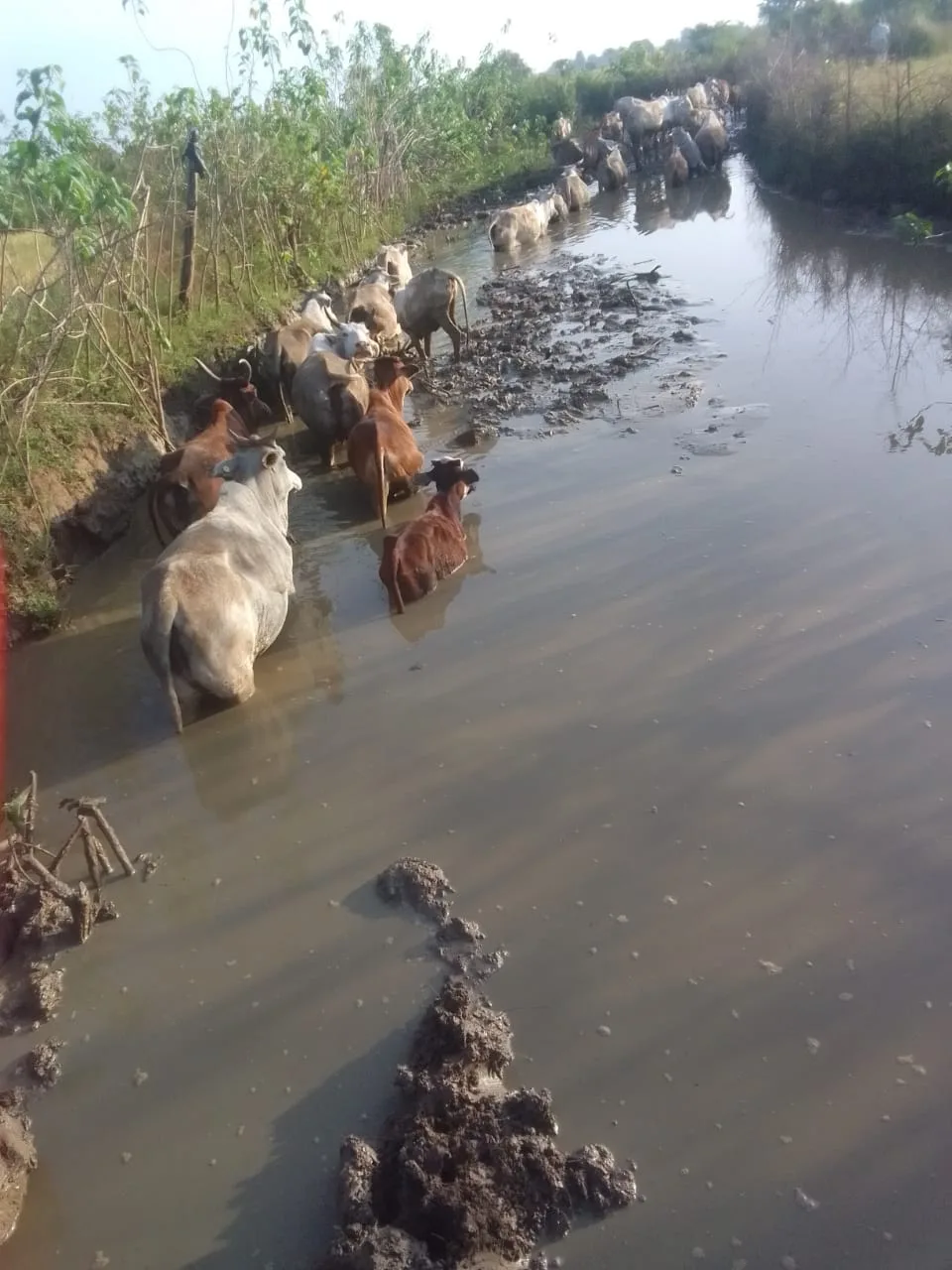 सरकार से छोड़ी उम्मीद, अपने दम पर कर रही हैं पंचायत का विकास | New India Times