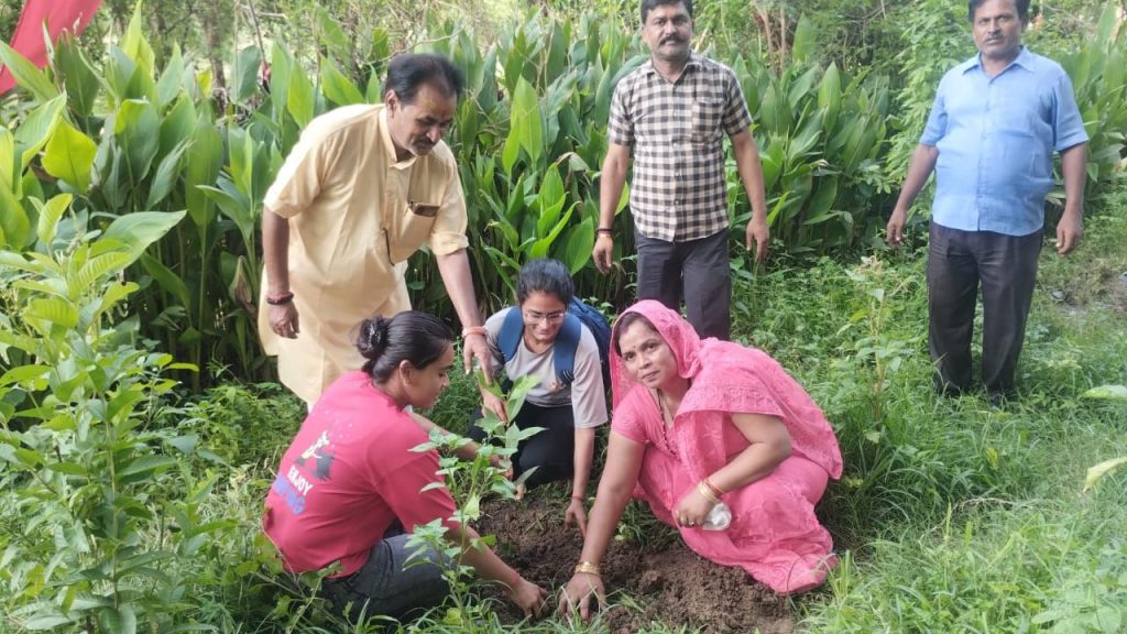 आषाण माह में हनुमान टोली ने किया भंडारा एवं वृक्षारोपण | New India Times