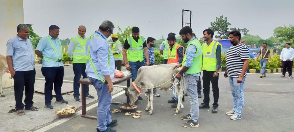 NH 44 पर निराश्रित गोवंश को दुर्घटना से बचाने हेतु रिफ्लेक्टिव कॉलर लगाने का आभियान शुरू | New India Times